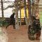 paintball 115