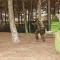 paintball 133