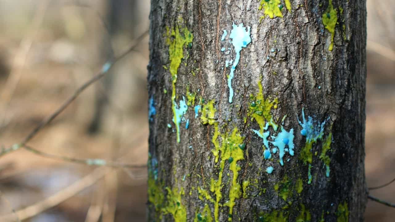 Paintball’da Strateji